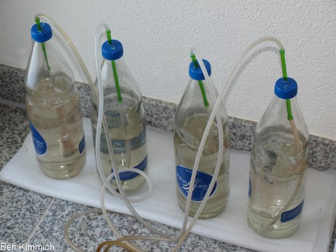 Artima-Reaktoren aus Glas