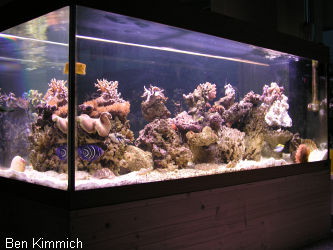 400 Liter Fischbecken alt