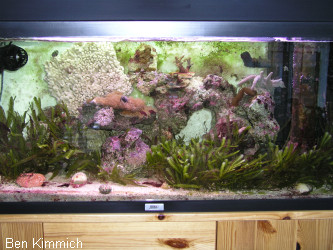 100 Liter Kleintierbecken alt